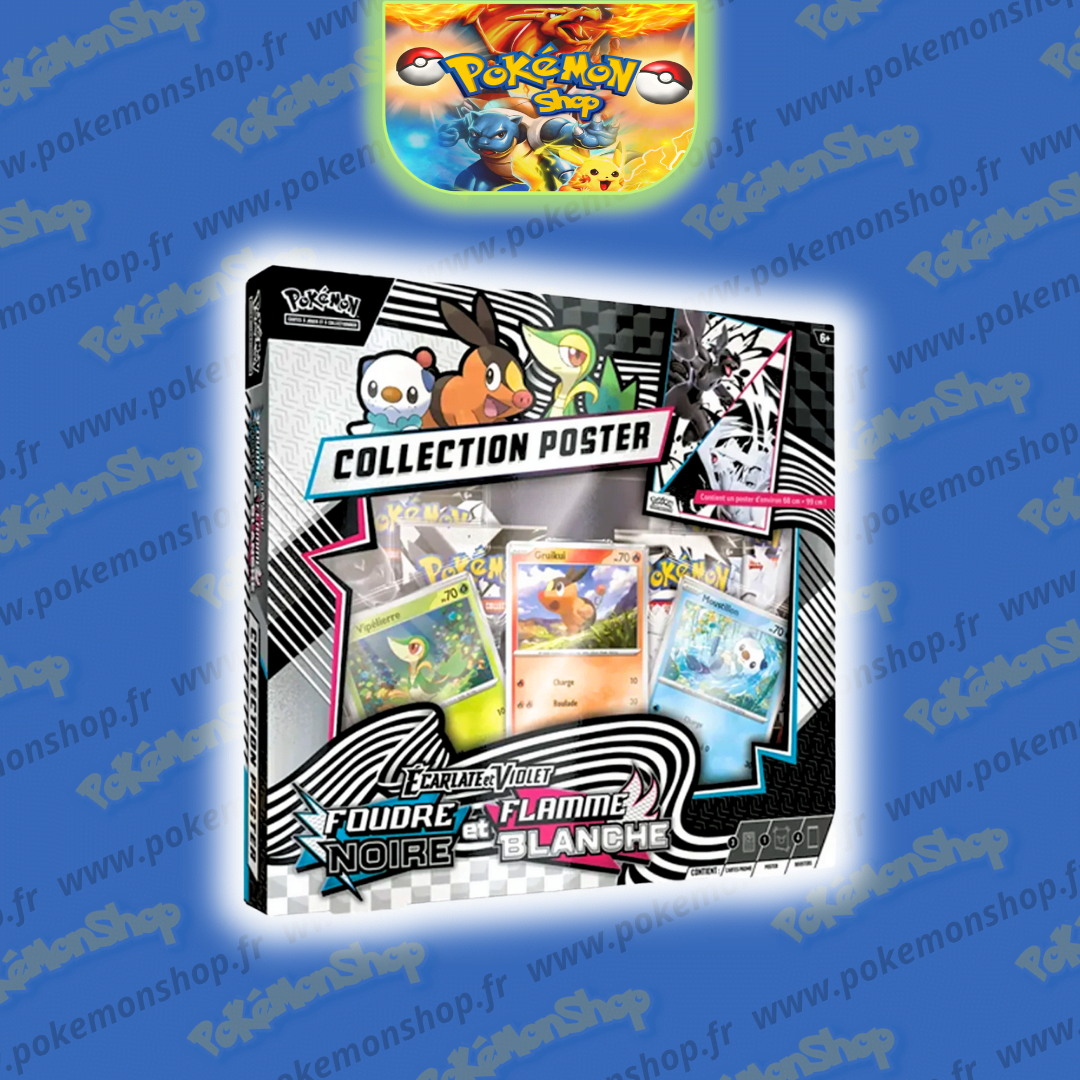 Pokémon Coffret Poster EV10.5